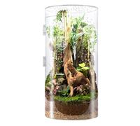 Spider Enclosure, Front Opening Acrylic Reptile Tank for Arboreal Species, Waterproof Small Habitat Cage with Air Vents for Tarantula Gecko Mantis Pet Display 500g/970g