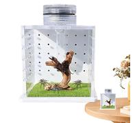 Spider Enclosure Tank, Reptile Tank with Humidifier, Clear Enclosure for Amphibians, Lizard Habitat Box, Small Reptile Enclosure, Humidified Frog Cage, Tree Dwelling Frog Tank, Reptile Breeding Enclos
