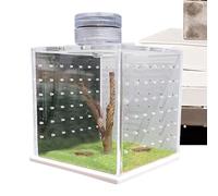 Spider Enclosure Tank, Reptile Tank with Humidifier, Clear Enclosure for Amphibians, Lizard Habitat Box, Small Reptile Enclosure, Humidified Frog Cage, Tree Dwelling Frog Tank, Reptile Breeding Enclos