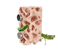 Spider Habitat - 3D Printed Material Magnetic Design | Pet Hiding Shelter Terrarium | Amphibian Gecko Frog Climbing Enclosure Decoration with Magnetic Mount For Spider Frog Gecko Terrarium