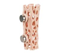 Spider Hábitat - Reptil Magnético, Accesorio Cueva Gecko, Secure Climbing Spot | Terrario Frog Gecko Amphibian Pet Enclosure Decoration Indoor Setup Support for Jumping Spiders
