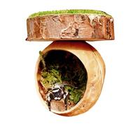 Spider Habitats - Araña magnética de madera, escondida, accesorios de anfibios hechos a mano, ideal para mascotas pequeñas de reptiles, jaula