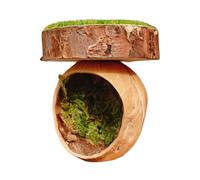 Spider Hide, Magnetic Jumping Spider Hiding Habitats, Wood, Magent, Handmade Reptile Amphibian Accessories for Tarantula House Cage and Small Pets, 1.57x2.36 Inches