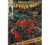 Spider-Man "100º Aniversario de la 60 x 80 cm Lienzo