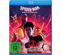 Spider-Man: Across the Spider-Verse (Blu-ray) Moore Shameik (Importación USA)