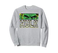 Spider-Man Brand New Day Hulk Smash Sudadera