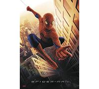 Spider-Man Regular Póster Swinging