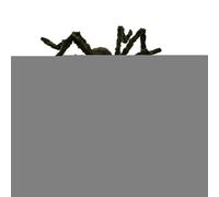 Spider - Spiders Spiders, Haunted House Spiders Props | Large Scary Spiders Realistic Spiders, Indoor Outdoor House Yard Decor Party Supplies and Decorations Haunted House