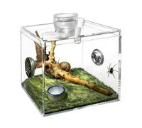 Spider Terrarium | Acrylic Clear Pet Breeding Box | Praying Mantis, Snail & Lizard Enclosure | Indoor Reptile Habitat For Home & Living Room