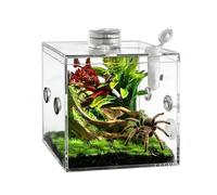 Spider Terrarium | Acrylic Clear Pet Breeding Box | Praying Mantis, Snail & Lizard Enclosure | Indoor Reptile Habitat For Home & Living Room