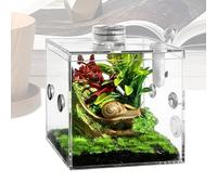 Spider Terrarium, Acrylic Clear Pet Breeding Box | Reptile Habitat Enclosure, 10x10x10cm Safe Durrable Tank For Snail Mantis Lizard Small Animal Praying Mantis Home Indoor Terrarium Display