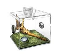 Spider Terrarium, Acrylic Clear Pet Breeding Box | Reptile Habitat Enclosure, 10x10x10cm Safe Durrable Tank For Snail Mantis Lizard Small Animal Praying Mantis Home Indoor Terrarium Display