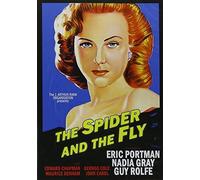 Spider & The Fly [Edizione: Stati Uniti] [Italia] [DVD]