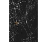 Spider Web Lined Journal: A Lined Notebook for Notes, Thoughts, and Dark Ideas