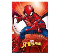 Spiderman - Manta de Marvel