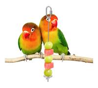 Spiedino per Cibo - Alimentatore in Acciaio Inossidabile per Verdure | Portacibo per Gabbia Pappagalli Ara Calopsite Conuro Inseparabile Cacatua Fringuello Piccoli Animali