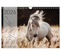 Spiegel deiner Seele (Wandkalender 2026 DIN A4 quer), CALVENDO Monatskalender: Lassen Sie sich entführen in die Faszinierende Welt der Pferde