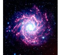 Spiffing Prints NASA - Spitzer Space Telescope M74 - Extra Large - Archival Matte Print