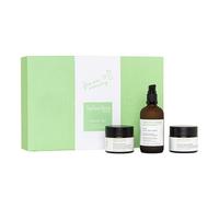 Spilanthox therapy - Set de inicio - Con Anti Wrinkle Moisturizer (30 ml), Aloe Skin Wash (100 ml), Eye Lifting Fluid (15 ml) & Night Repair (50 ml) - con spilantol y ácido hialurónico