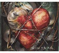 Spin Doctors - She Used To Be Mine