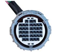 Spina sensore Compatible Con Nissan Para Leaf 22 36 Pines Hembra Conector De Caja De Cambios Impermeable Para Automóvil Arnés De Cables De Control Del Motor 7287-1065-30 7287-9871-40(36p female)