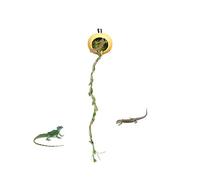 Spinnengehege Zubehör - Springspinne Versteck | Springspinnengehege - Magnetisches Kürbisversteck Holzde Korativ 5 Cm Höhle 40 Cm Kletterstange Schutzraum Für Reptilien Arthropoden Terrarium Dekoratio