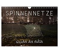 Spinnennetze - Wunder der Natur (Wandkalender 2026 DIN A4 quer), CALVENDO Monatskalender: Technische Meisterleistungen der Spinnen in ausdruckstarken Bildern.