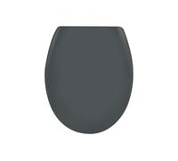 Spirella Asiento de Inodoro Ovalado, función de liberación rápida y Cierre Suave, Tapa de Inodoro antibacteriana de duroplast y Acero Inoxidable extraíble, Color Gris