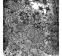 Spirit Fest - Anohito