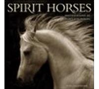 Spirit Horses 2026 Wall Calendar By Tony Stromberg
