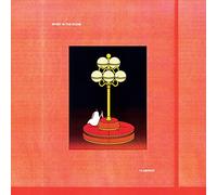 Spirit in the Room - Flamingo [VINYL] [Vinilo]