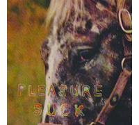 Spirit of the Beehive - Pleasure Suck