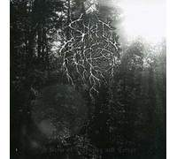 Spirit of the Forest – Brew of Lighting and Terror – CD