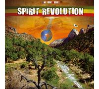 Spirit Revolution - Time Has Come
