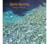 Spirits Burning & Bridget - Crazy Fluid