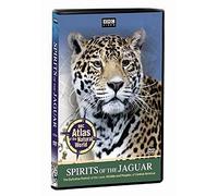 Spirits of the Jaguar [Reino Unido] [DVD]