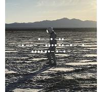Spiritualized - And Nothing Hurt Ltd.Deluxe Lp Box (Lp+Mp3) [Vinilo]