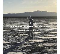 Spiritualized - And Nothing Hurt [VINYL] [Vinilo]