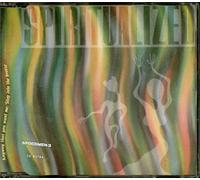 Spiritualized - Anyway That You Want Me
