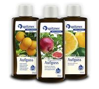Spitzner Juego de infusión para sauna en caja de regalo de la fuerza de la fruta: naranja, higo granada y pomelo (3 x 190 ml)