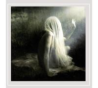 Spleen Arcana - in The Fields Where She Died [Import]