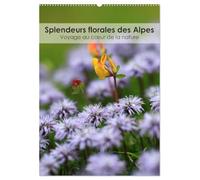 Splendeurs florales des Alpes - Voyage au coeur de la nature (Calendrier mural 2026 DIN A2 horizontal), CALVENDO calendrier mensuel: Partez en voyage ... la beauté éblouissante des fleurs alpines.