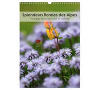 Splendeurs florales des Alpes - Voyage au coeur de la nature (Calendrier mural 2026 DIN A3 horizontal), CALVENDO calendrier mensuel: Partez en voyage ... la beauté éblouissante des fleurs alpines.