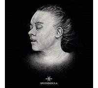 Splendidula - Post Mortem