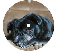 Split Secs - Corduroy City [Vinilo]