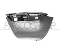 Spoiler RN3301853 PRASCO Para RENAULT