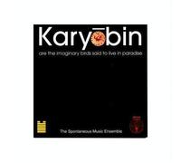 Spontaneous Music Ensemble - Karyobin