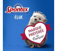 SPONTEX - Esponja con Acabado de esfuerzos - 2 esponjas rascadoras desincrustantes Verdes Formato XL - Fórmula de Carbono