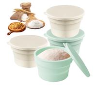 Sporgo Caja para pizza: juego de 4 plegables, caja de fermentación antiadherente, ahorro de espacio