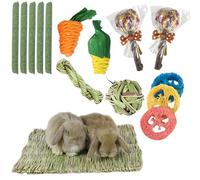 Sporgo Juego de 14 juguetes para conejo, cobaya, hámster con 2 alfombrillas de paja, juguete de hierba para cuidado dental, conejo, chinchilla, hámster, cobaya, jerbos